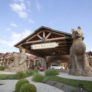 Great Wolf Lodge Mason